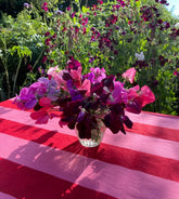 Pink & Red Stripe Tablecloth